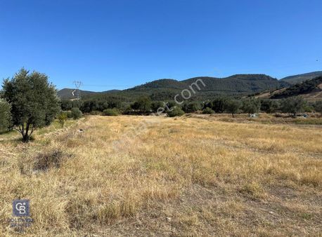 Sarayköy Kabaağaç Mah. 2.600 M² Satılık Tarla