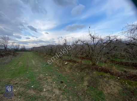 Pamukkale Yeniköy Girişinde 509m² Satılık Tarla
