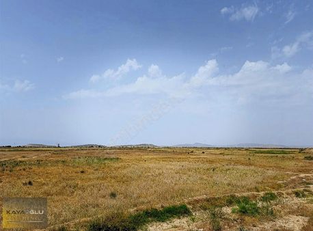 Menemen Süzbeyli Yola Cepheli Yatırımlık Tarla