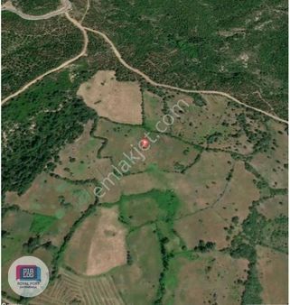 Çanakkale Yenice Ahiler Köyü'nde Yatırım Ve Tarıma Uygun Tarla