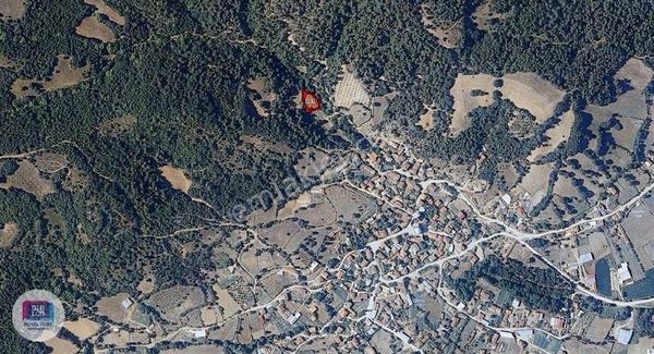 Çanakkale Yenice Torhasan Yatırım&hobi Kullanımına Uygun Bahçe