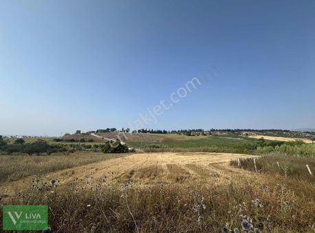 Pirinçlikte Satılık 3 Dönüm Arsa