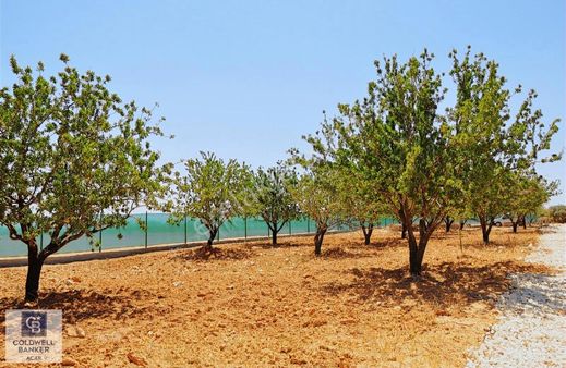 Coldwell Banker'den Satılık 500 M² Bağevi Yeri Badem Ağaçlı