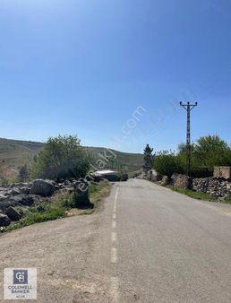 Coldwell Banker'dan 19 Dönüm Tek Tapulu Fıstıklık Takasa Açık