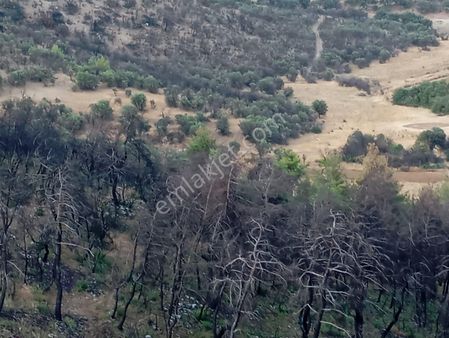 Manisa Salihli İlçesinde Satılık Arazi