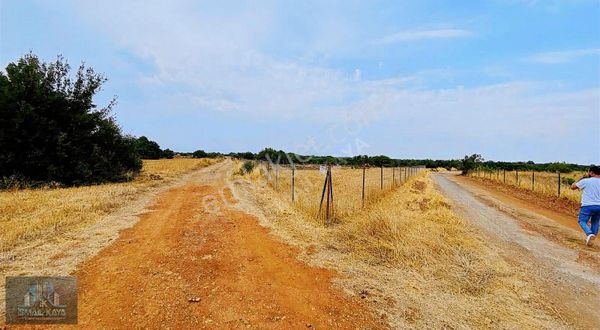 Kepez Başköy 1500 M2 Müstakil Tek Tapu Fırsat Tarla