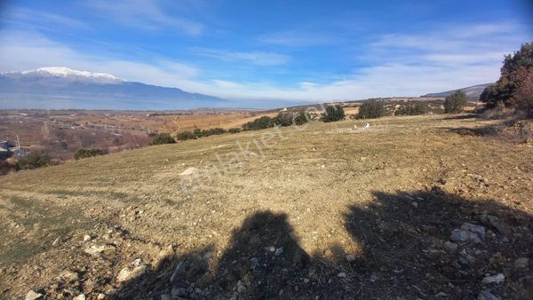 Isparta Gelendost Yeşilköy'de Göl Mnazaralı Satılık Tarla