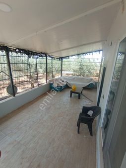 Ailenizle Hem Şehir Hem Köy Hayatını Bir Arada Yaşaya Bileceginiz En Uygun Yer