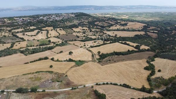 Çanakkale Lapseki Umurbey De Yola Cepheli 15 Dönüm Satılık Arazi