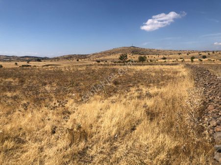 Satılık Manisa Kula Gökçeören 'de Doğanın İçinde Yatırımlık Tarla
