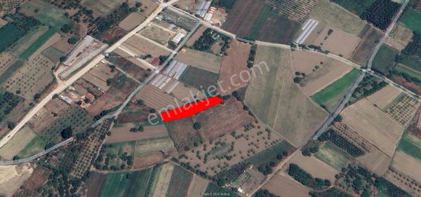 Roma' Dan Cerrah Mahallesi' Nde Satılık Tarla