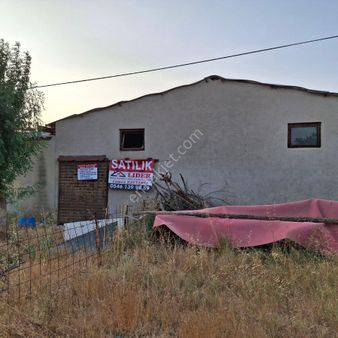 Muratlı Ballıhoca Köyünde Faal Durumunda Olan (1160)m2'lik Besi Çiftliği Satılıktır.