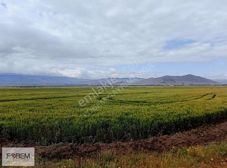 Pasinler Alvar Yolu Üzeri Sulak Verimli Tarla