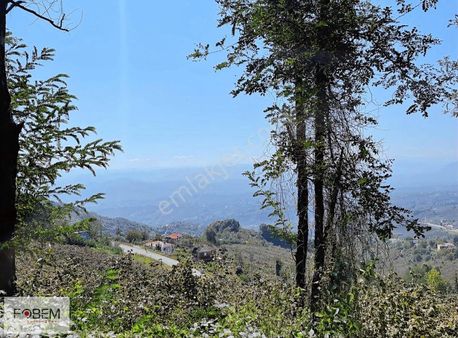 Ordu Bortepede Satılık Arsa