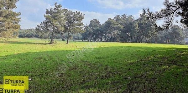 Buca Kaynaklar'da 7.032 M2 Satılık Tarla