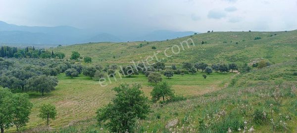 Bir Çiftliğim Olsun İster Misiniz.. Haydi O Zaman Hemen Arayın