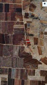 Hacılar'da Yatırımlık Tarla Düşük Fiyatta