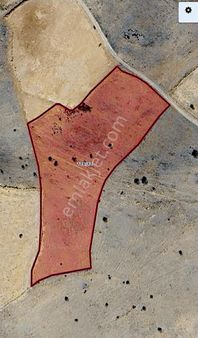 Karadiginde Müstakil Cıftlık Arazisi