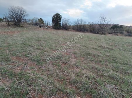 Karadiğinde Yeşillik İçerisinde Dere Yakını 10800 M²