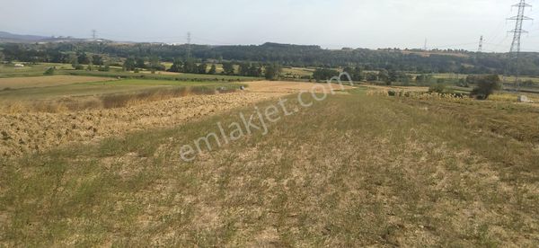 Sakarya İli Adapazarı İlçesi Örentepe De Satılık Tarla