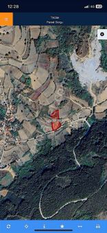 %5 İmarlı Yol Kenarı Fındıklık Getirisi Yüksek