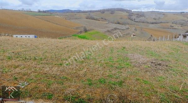 Kandıra'da Resmi Yola Cepheli Fırsat Arsa