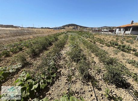 Balıkesir Tatlıpınar Mahallesinde Bölgenin En Ucuz İmarlı Arsası
