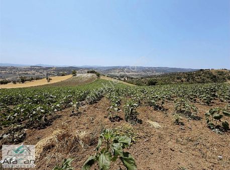 Balıkesir Sanayi Bölgesine Ve Köye Yakın Yatırımlık 9000m2 Arazi