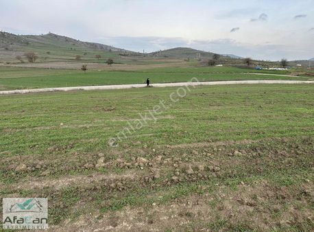 Asfalt Yola Cephe Elektrik Su Problemi Olmayan Harika Bahçe!!!