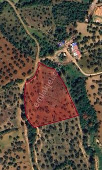 Çanakkale Merkez Dümrek Köyünde 8255m2 Satılık Arazi