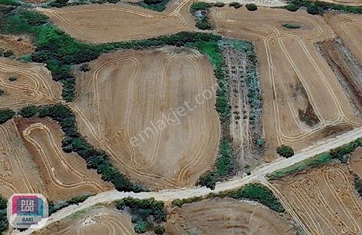 Resmi Yola Cepheli | 4.127 M2 | Müstakil Parsel | Yatırımlık