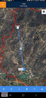 Aydın Çine Yeşilköy Zeytinlik