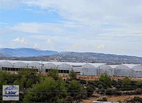 Yenişehir Fuat Morelde Müstakil Bina Fırsat