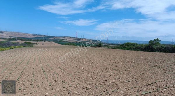 Bayırköy,de Yatırımlık Fırsat Arazi