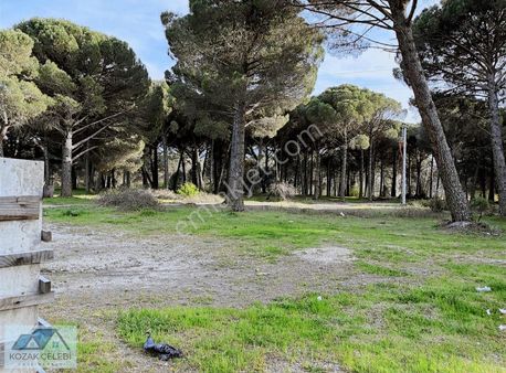 Ayvalık Yolu Üzeri Benzinlik Vasıflarını Taşıyan Düz Zemin Arazi