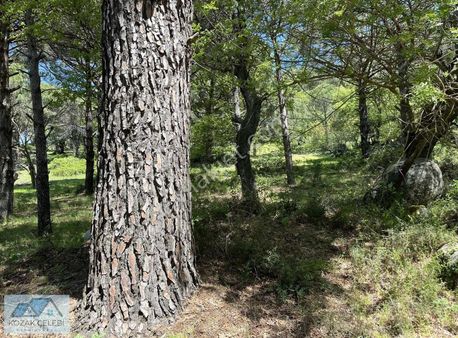Kozak Yaylasının En Çok Prim Yapan Köyünde Müstakil Tapulu Arazi