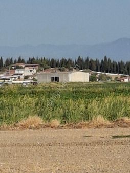 Foça Gerenköyde 703 M2 Bahçe Acil Satılık