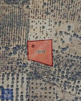 Kemalpaşa Halilbeylide Satılık Yatırımlık Bahçe