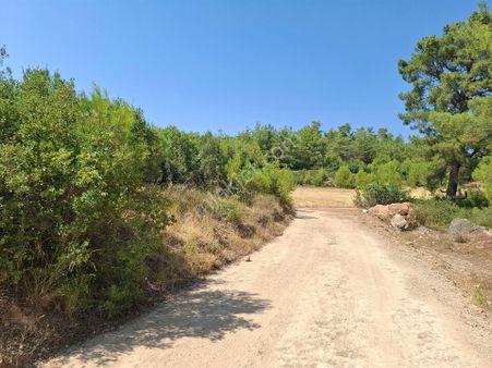 Menteşe Bayır Bölgesinde 15.400m2 Kadastrol Yolu Olan Fırsat Arazimiz