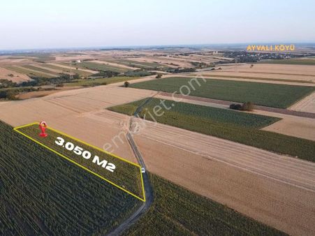 Ayvalı Köyünde 3.050 M2 Tek Tapu Satılık Tarla