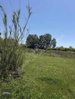 Arma Plustan Serik D400'e Yakın Mesafede Tek Tapu Satılık Tarla