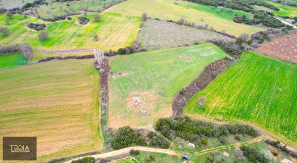 Ezine Gökçebayır Köyünde 10.700m2 Kadastral Yola Cepheli Tarla