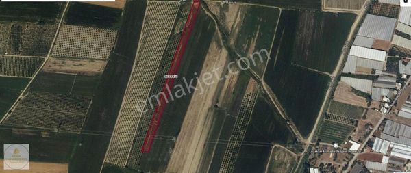 Aksu Solak Mahallesinde Satılık 11.500m²tarla