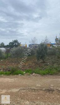 Aksu Topallıda Antalya-ısparta Yoluna Cephe 650m² Satılık Tarla