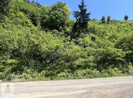 Şah Group Gayrimenkul Güvencesiyle Satılık Arazi