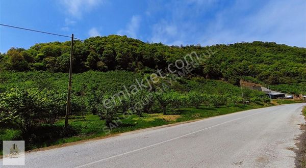 Şah Group Gayrimenkul Güvencesiyle