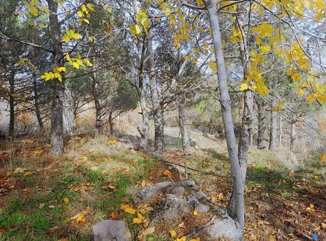 Yerlitahtacı Da 1273 M2 Bahçe