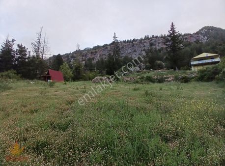 Kemer Ulupınar'da Satılık Müstakil Tapulu Tarla