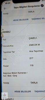 Çameli Emecik'te Köy İçi Arsa Gibi Tarla