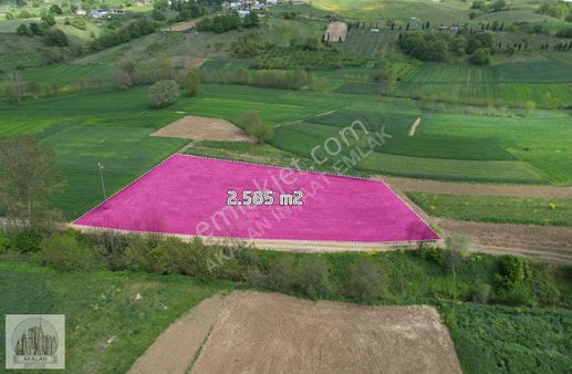 Anayola 500 Metre Mesafede Mükemmel Konumda 2,5 Dönüm Arazi